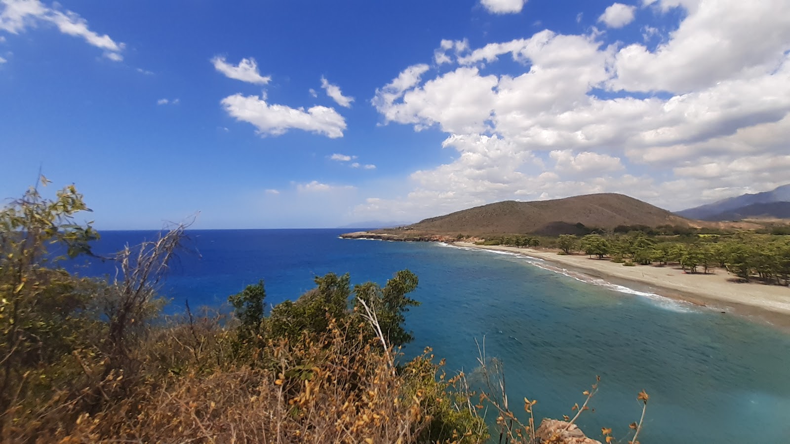 Foto de Playa Damajayabo área selvagem