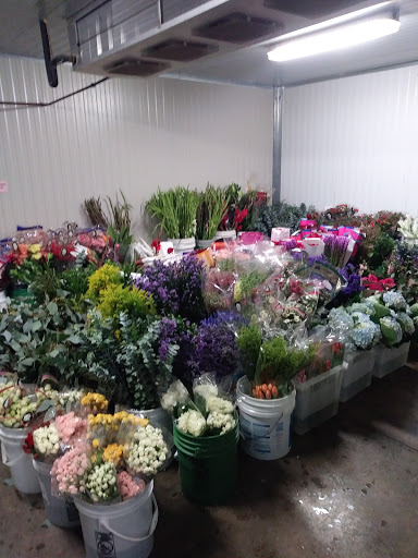 Flowerland Wholesale