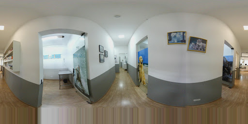 CLÍNICA CÃO VIVER em Taubaté - SP