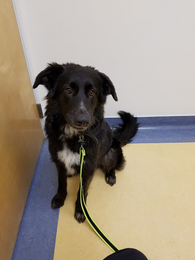 Gabriel Park Veterinary Clinic