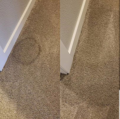 Checkmate Carpet Cleaning