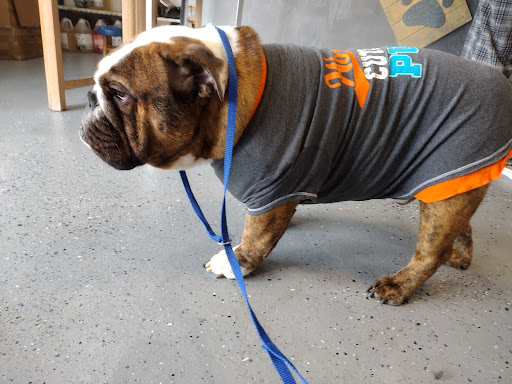 Pet Supply Store «The Dog House», reviews and photos, 4237 S Alameda St, Corpus Christi, TX 78412, USA