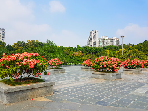 Shenzhen International Garden and Flower Expo Park