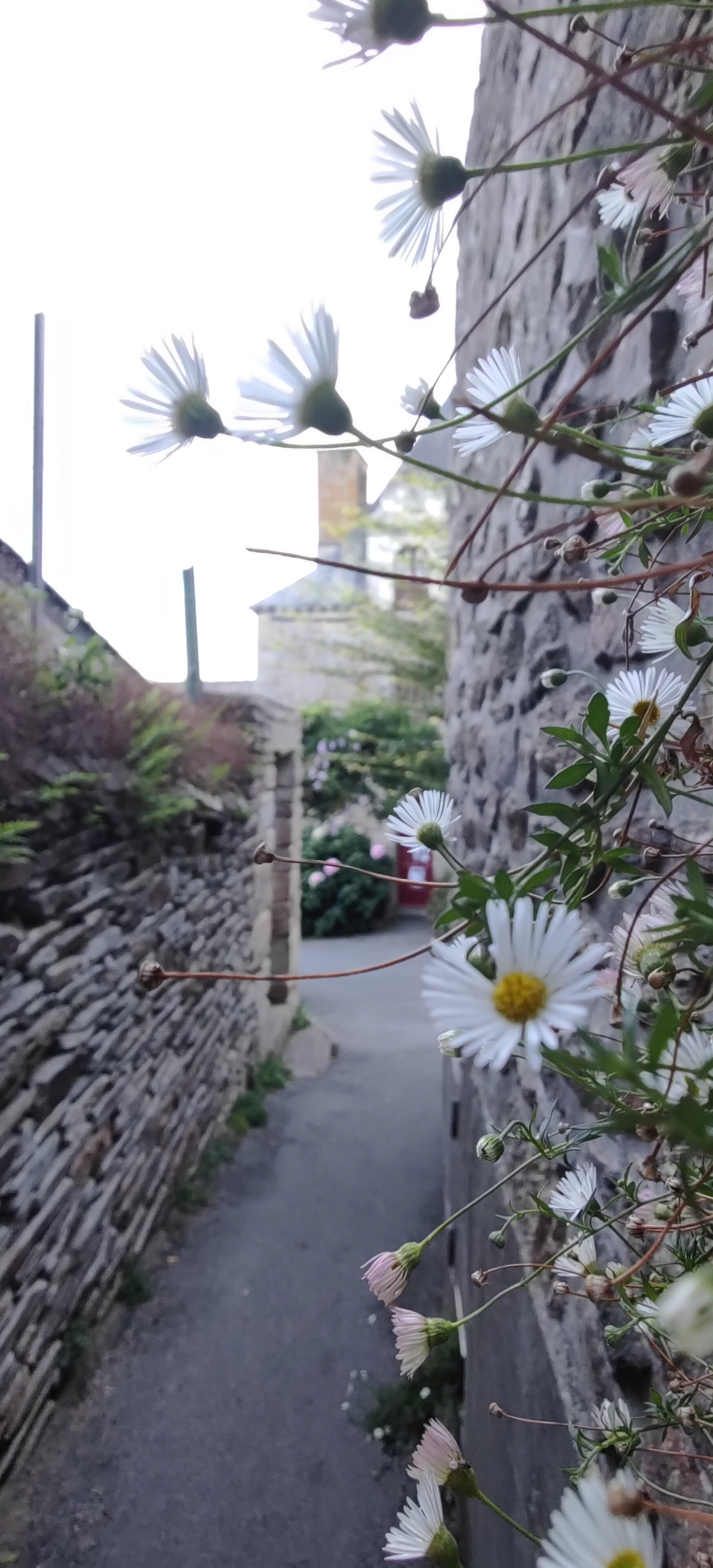 Photo n° 16 de l'avis de Veronique. fait le 12/09/2022 à 18:22