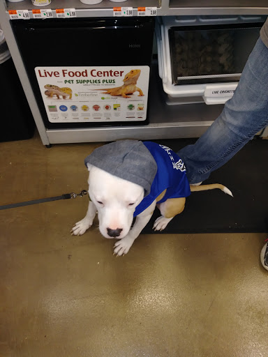 Pet Supply Store «Pet Supplies Plus», reviews and photos, 6030 Central Ave Suite A, Portage, IN 46368, USA