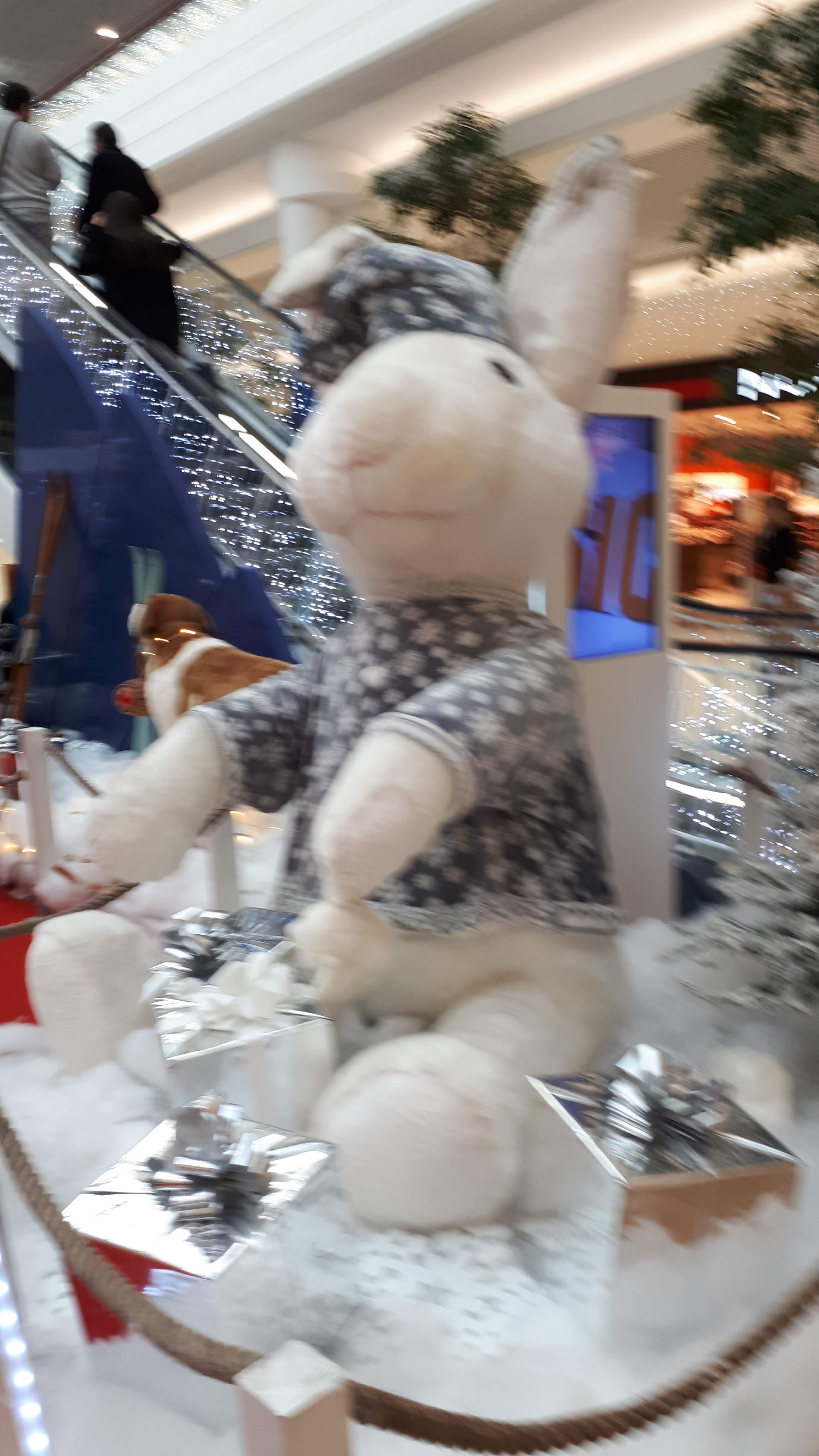 Photo n° 10 de l'avis de Hélène.o fait le 20/12/2018 à 13:07