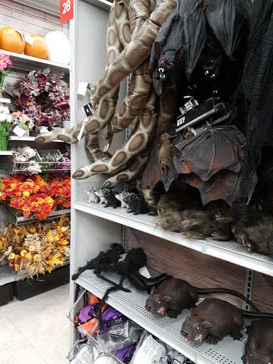 Craft Store «Michaels», reviews and photos, 201 Needham St, Newton, MA 02464, USA