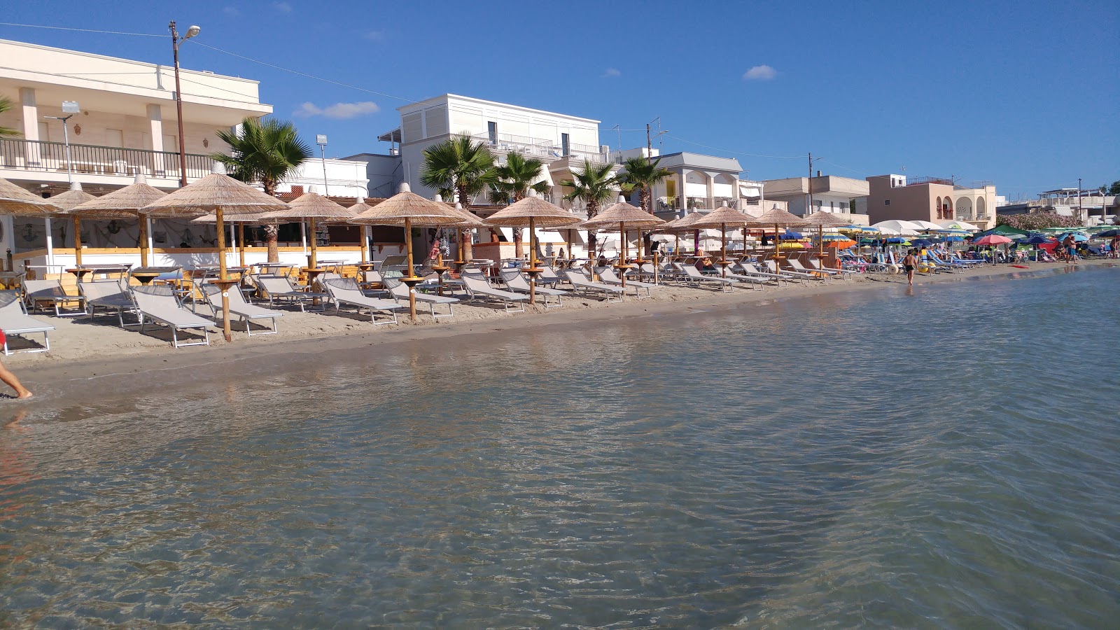 Torre Canne Beach的照片 部分重新排序区域