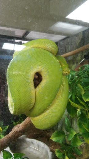 Reptile Store «The House Of Reptiles», reviews and photos, 5501-1 Beach Blvd, Jacksonville, FL 32207, USA