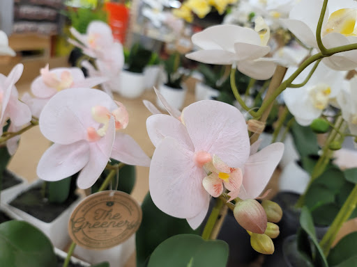 Home Improvement Store «The Home Depot», reviews and photos, 200 South Ave, Garwood, NJ 07027, USA