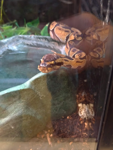 Pet Supply Store «PetSmart», reviews and photos, 2201 Gallatin Pike N, Madison, TN 37115, USA