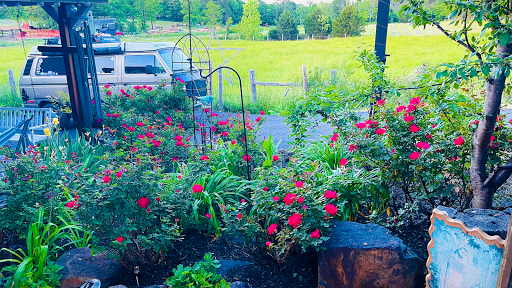 Gas Station «Newstar Market Inc», reviews and photos, 2936 John Marshall Hwy, Strasburg, VA 22657, USA