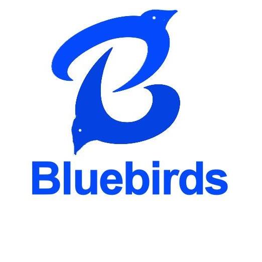 BlueBirds