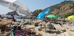 Zdjęcie Mar Morto beach dziki obszar