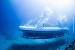 Atlantis Submarines Waikiki image