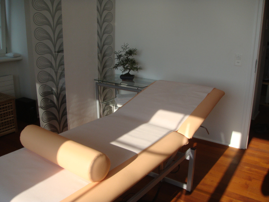 Kanghua TCM Zürich / Akupunktur/ Tuina Massage/Akupressur/Kräutermedizin - Akupunkteur