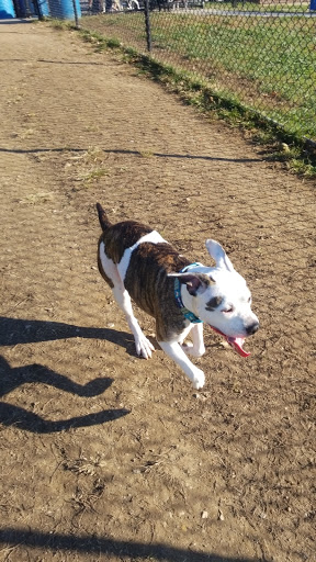 Dog Park «Worthington Off Leash Dog Park», reviews and photos, 8170 Hillsborough Rd, Ellicott City, MD 21043, USA