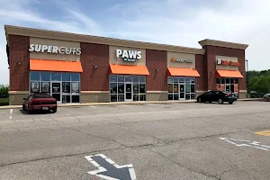 Paws Pet Market image