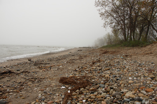 Nature Preserve «Kenosha Sand Dunes», reviews and photos, 7th Ave, Pleasant Prairie, WI 53158, USA