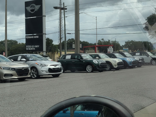 Car Dealer «Ferman MINI of Tampa Bay», reviews and photos, 31320 US-19, Palm Harbor, FL 34684, USA