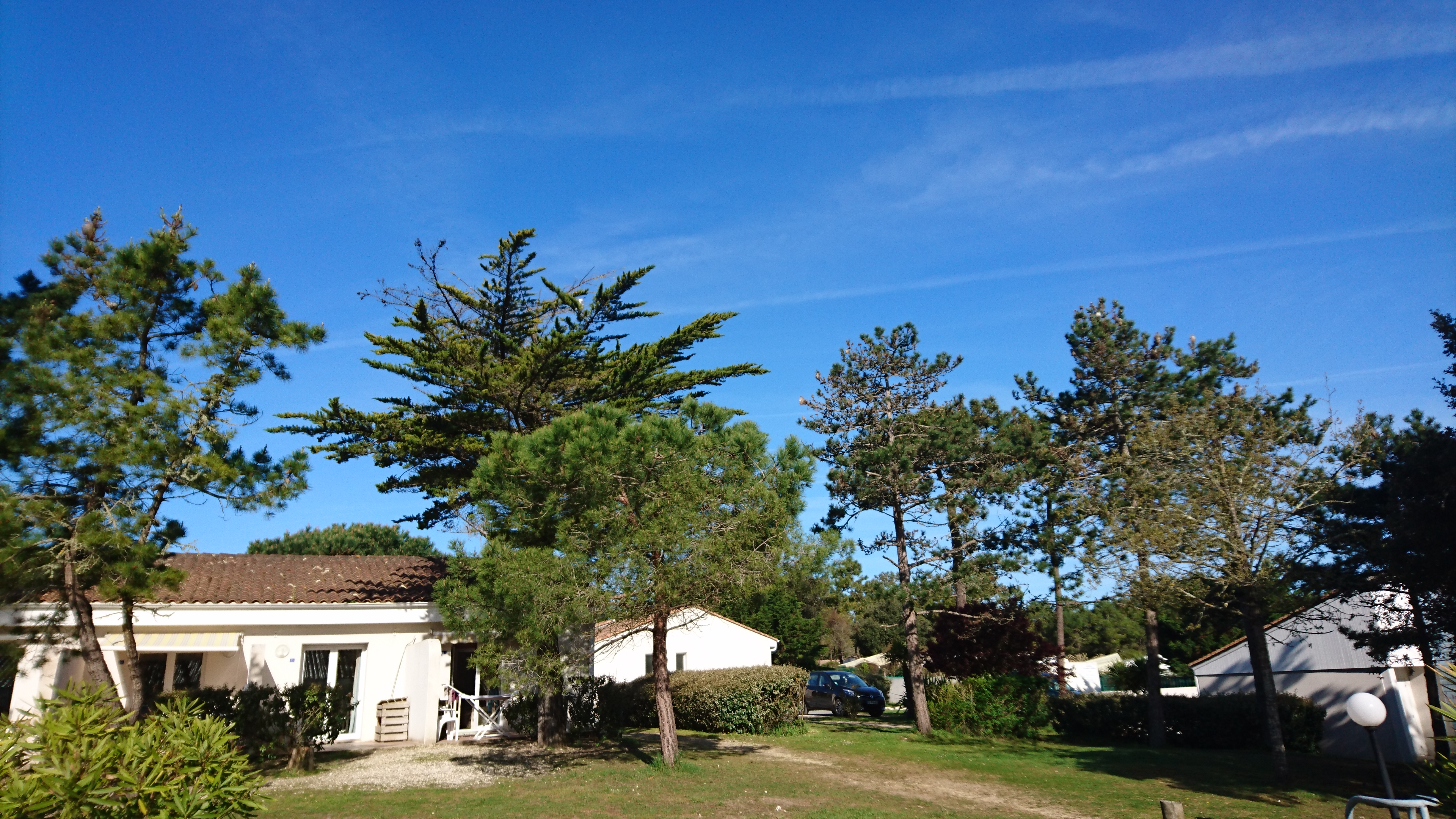 Photo n° 1 de l'avis de MAM.O fait le 19/04/2018 à 10:42