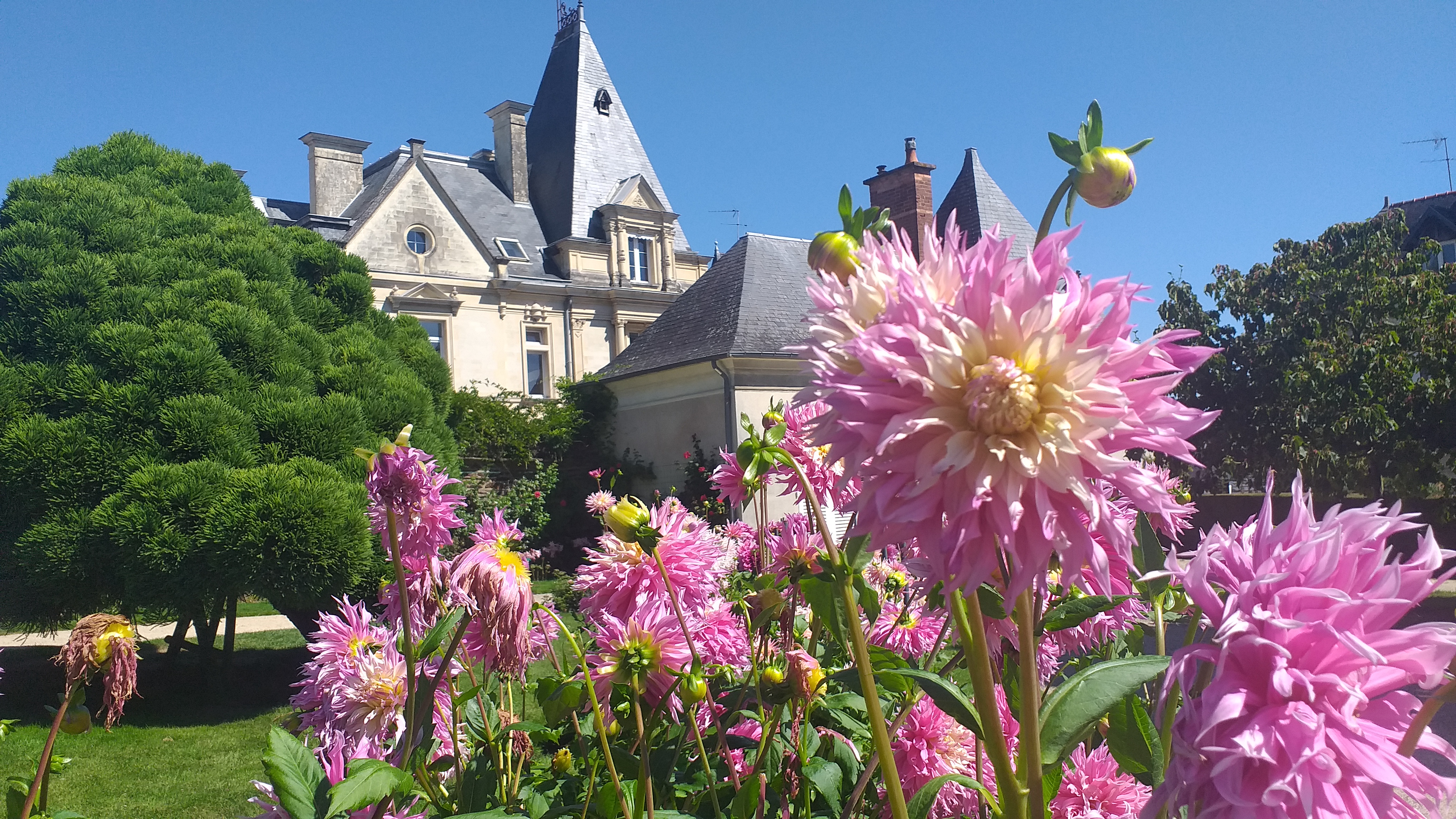 Photo n° 6 de l'avis de Patrice.o fait le 21/08/2023 à 15:47