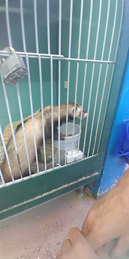 Pet Supply Store «Atlas Pet Supply», reviews and photos, 1798 Market Dr, Stillwater, MN 55082, USA