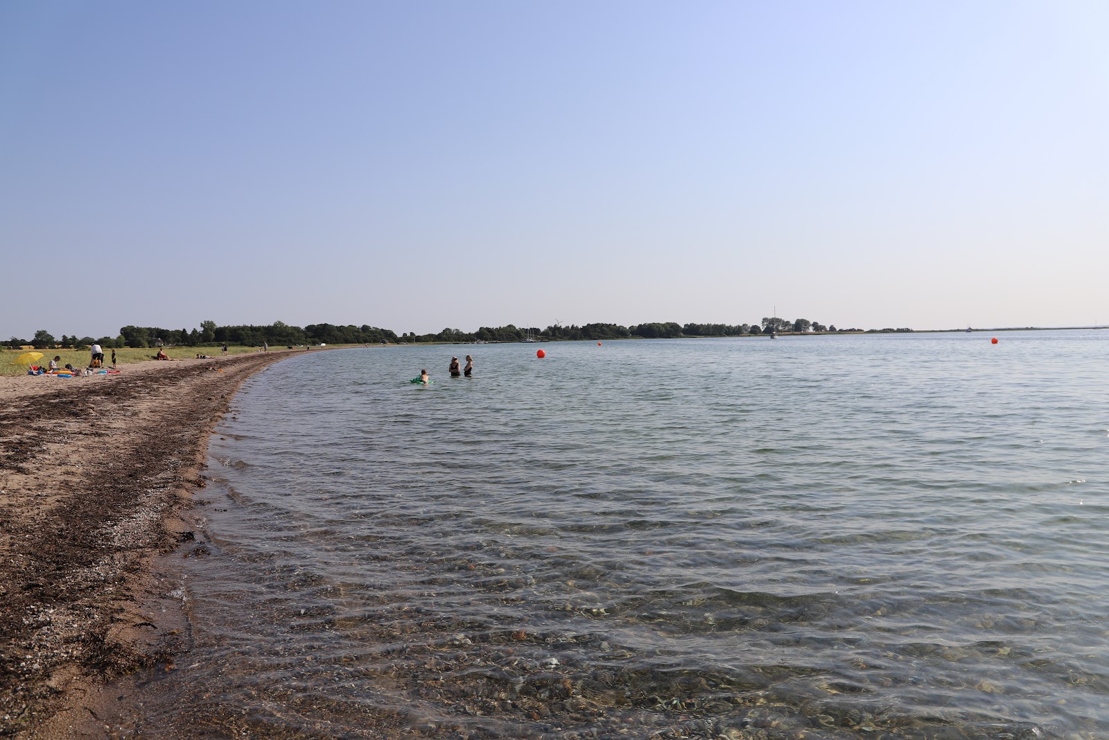 Foto di Fons Beach con #44