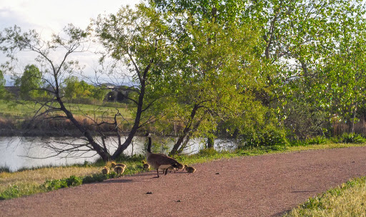 Park «Westminster City Park», reviews and photos, 10455 N Sheridan Blvd, Westminster, CO 80020, USA