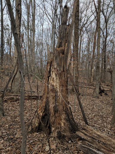 Park «Fairfax Villa Park», reviews and photos, 11399 Park Dr, Fairfax, VA 22030, USA