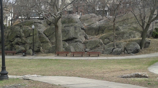 Park «Horatio Harris Park», reviews and photos, 85 Harold St, Boston, MA 02119, USA
