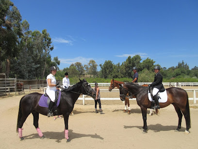 Rancho El Camino Equestrian Horse Boarding and Lessons