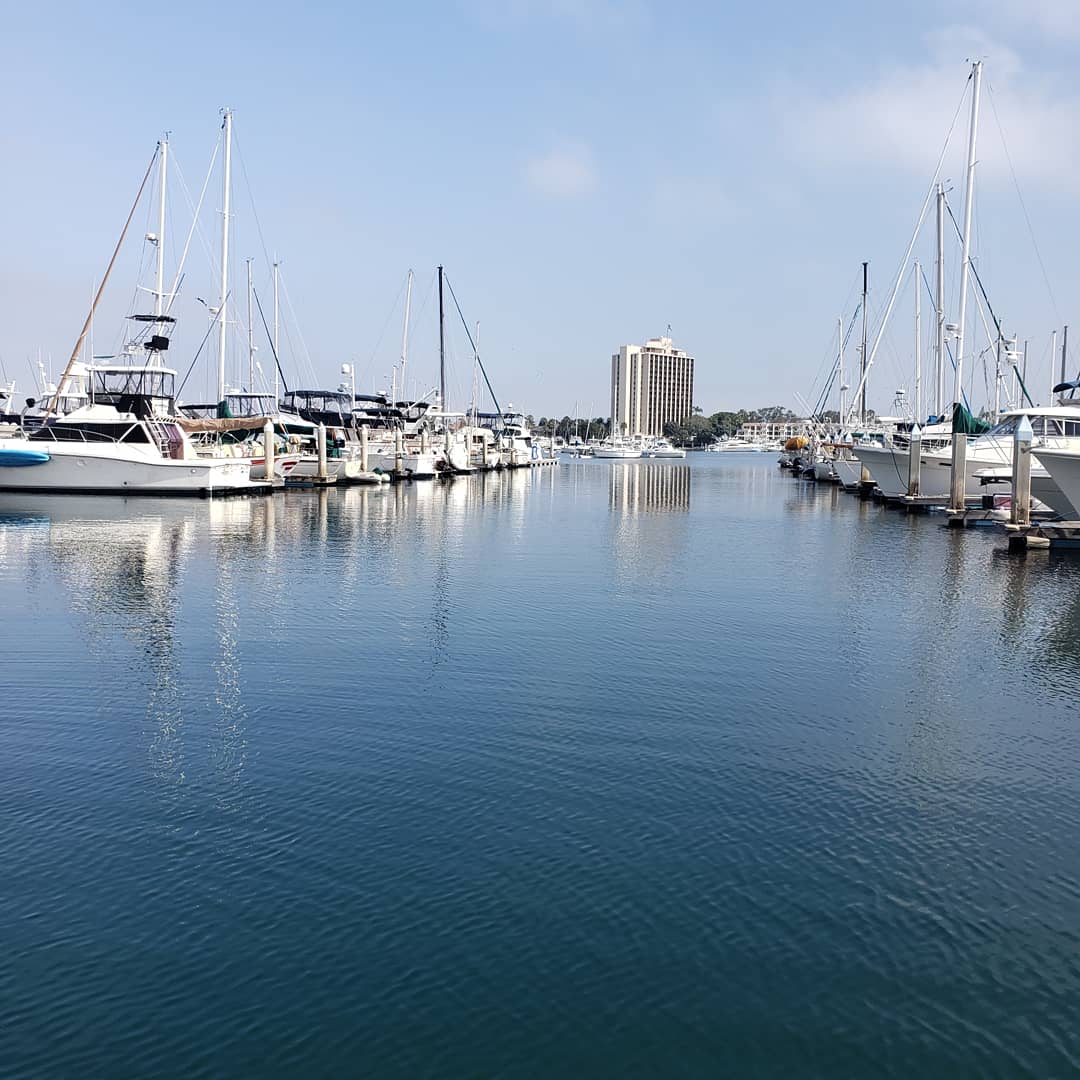 Driscoll Mission Bay