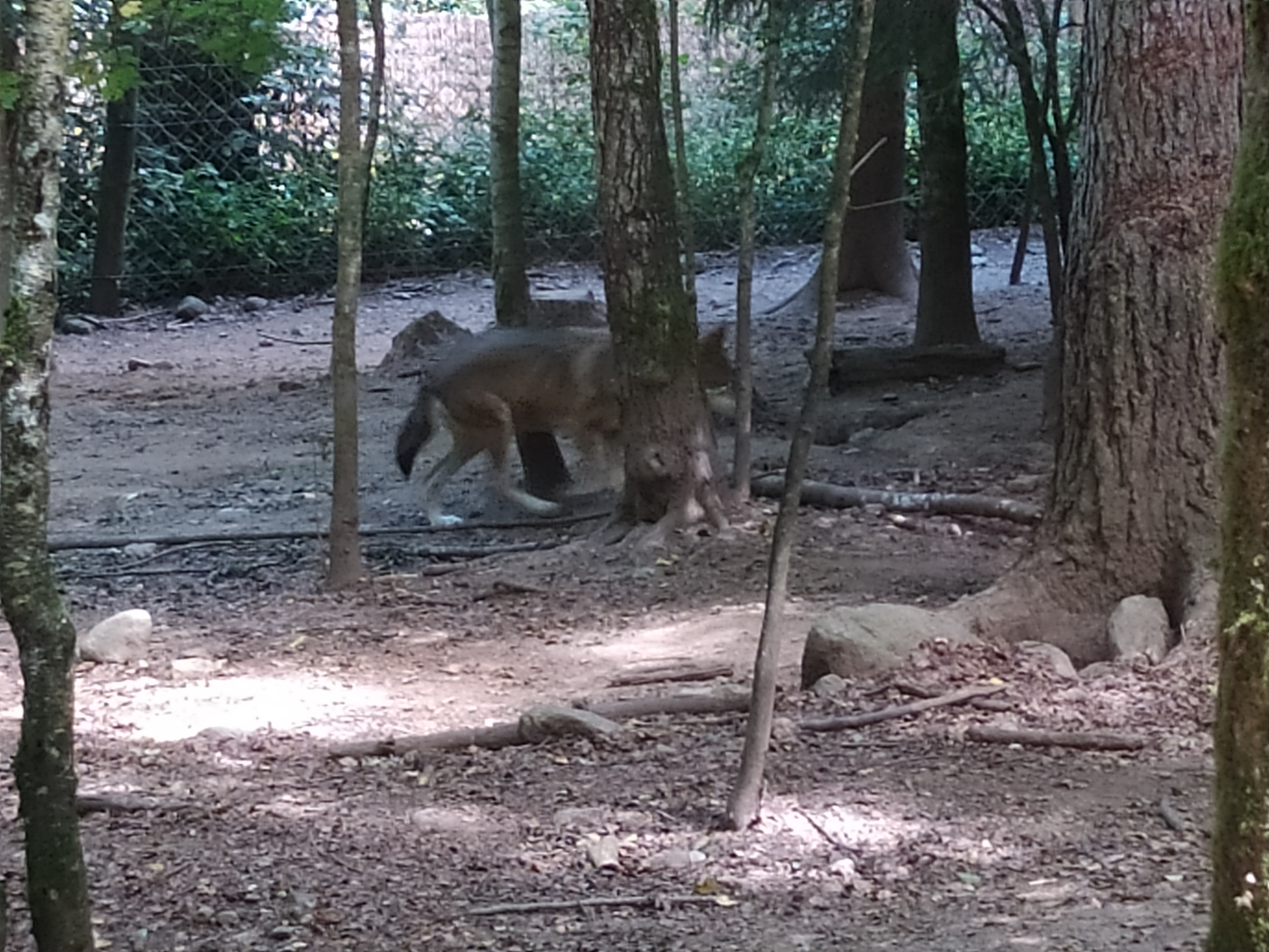 Photo n° 3 de l'avis de Sanchez.u fait le 04/08/2020 à 13:25
