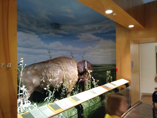 Museum «Peggy Notebaert Nature Museum», reviews and photos, 2430 N Cannon Dr, Chicago, IL 60614, USA