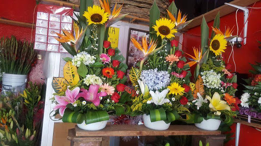 Floreria San Juditas – Tecozautla