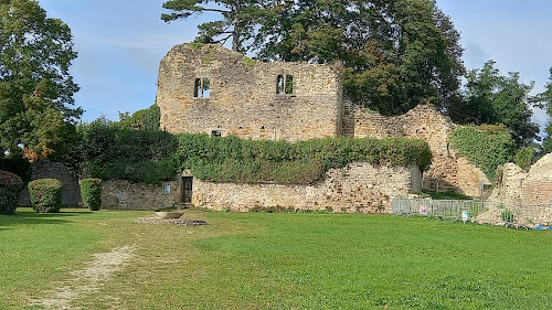 Vieux château de Moulins-Engilbert à Moulins-Engilbert