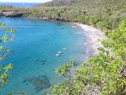 Anse Cochon beach'in fotoğrafı kısmen otel alanı