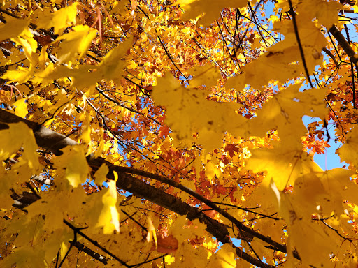 National Park «Antietam National Cemetery», reviews and photos, 302 E Main St, Sharpsburg, MD 21782, USA