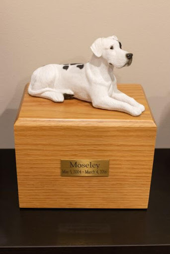 Cremation Service «Lasting Tributes Cremation and Funeral Care», reviews and photos, 814 Bestgate Rd, Annapolis, MD 21401, USA