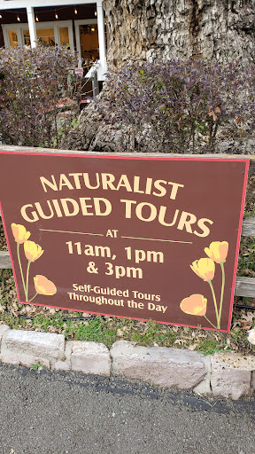 National Forest «Petrified Forest», reviews and photos