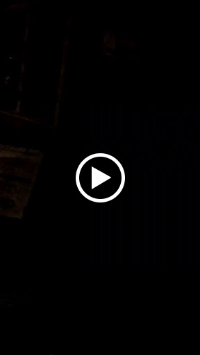 Florist «Tulipomania LLC», reviews and photos, 319 E Howard Ave, Milwaukee, WI 53207, USA