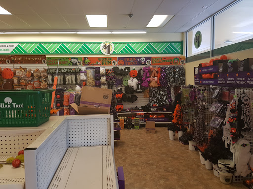 Dollar Store «Dollar Tree», reviews and photos, 9055 Biscayne Blvd, Miami Shores, FL 33138, USA