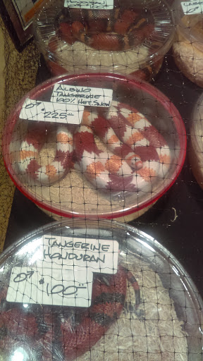 Reptile Store «Cleveland Reptile Show», reviews and photos, 17250 Hummel Rd, Brook Park, OH 44142, USA