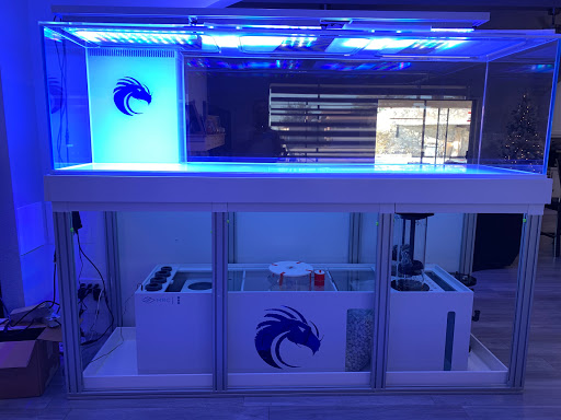 Tropical Fish Store «Southeast Aquariums», reviews and photos, 135 Stanley Ct #211, Lawrenceville, GA 30046, USA