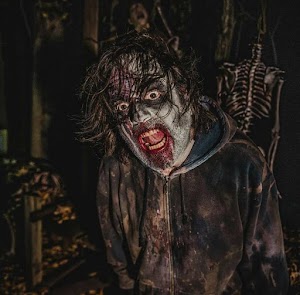 The Abandoned Hayride - photo 8