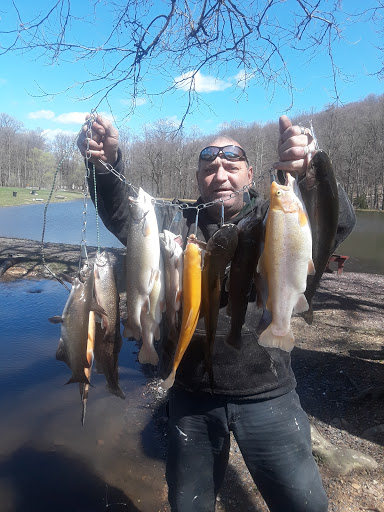 Fishing Store «Indian Creek Fishing & Fire Arms», reviews and photos, 3479 Mango Dr, Danielsville, PA 18038, USA