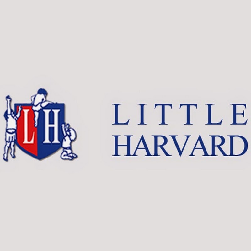 Little Harvard Crèche & Montessori, Childcare In Leixlip