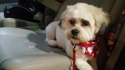 Pet Store «Just Pets», reviews and photos, 2154 E Commons Ave #327, Centennial, CO 80122, USA