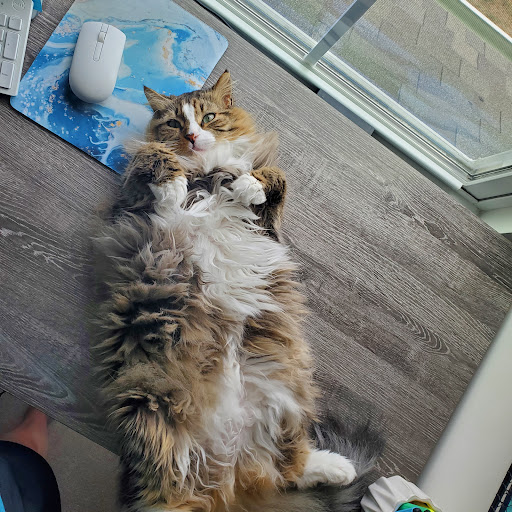 Pet Supply Store «Petco Animal Supplies», reviews and photos, 1011 University Blvd #100, Suffolk, VA 23435, USA